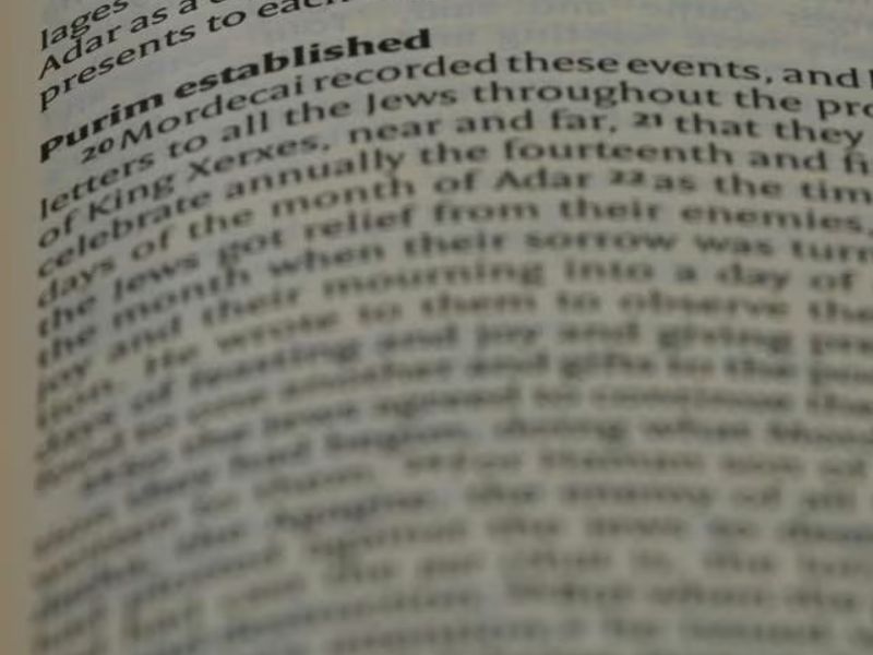Legal terms: For traffic and criminal offenses - Mexican Spanish lesson